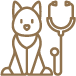 caring for older pets | Mineral Ridge OH